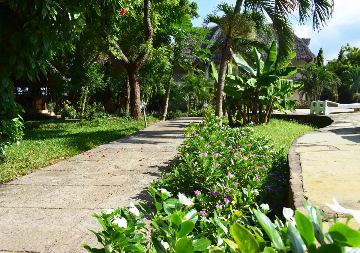 Tropical garden at Raquel's Bliss in Diani